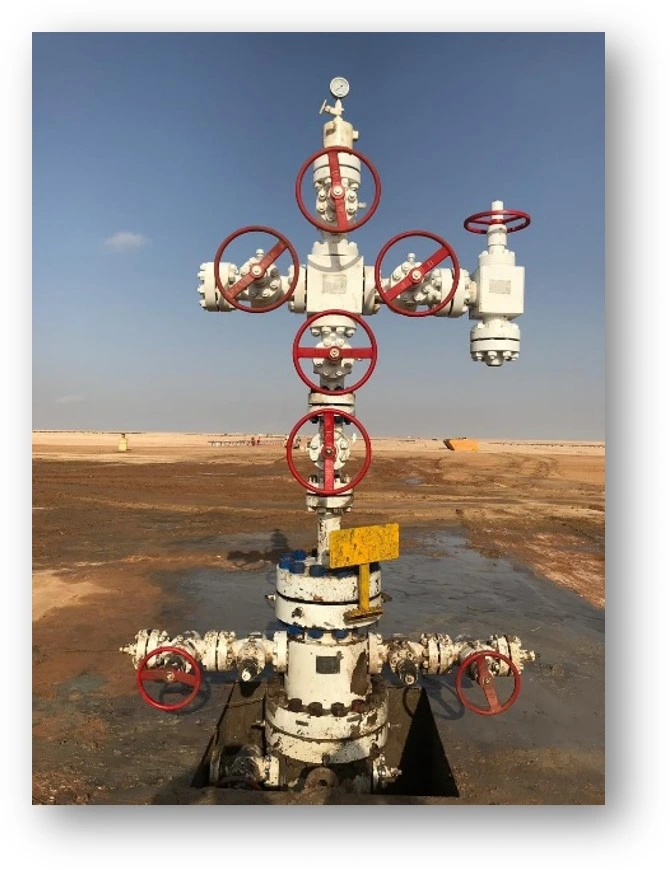 Oilfield Wellhead Bop Casing Head Tubing Head on Christmas Tree